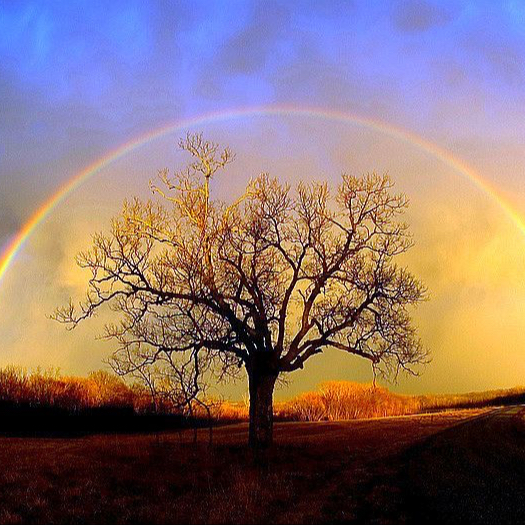Soin de Reiki Arc-en-Ciel à distance (via Zoom ou WhatsApp)