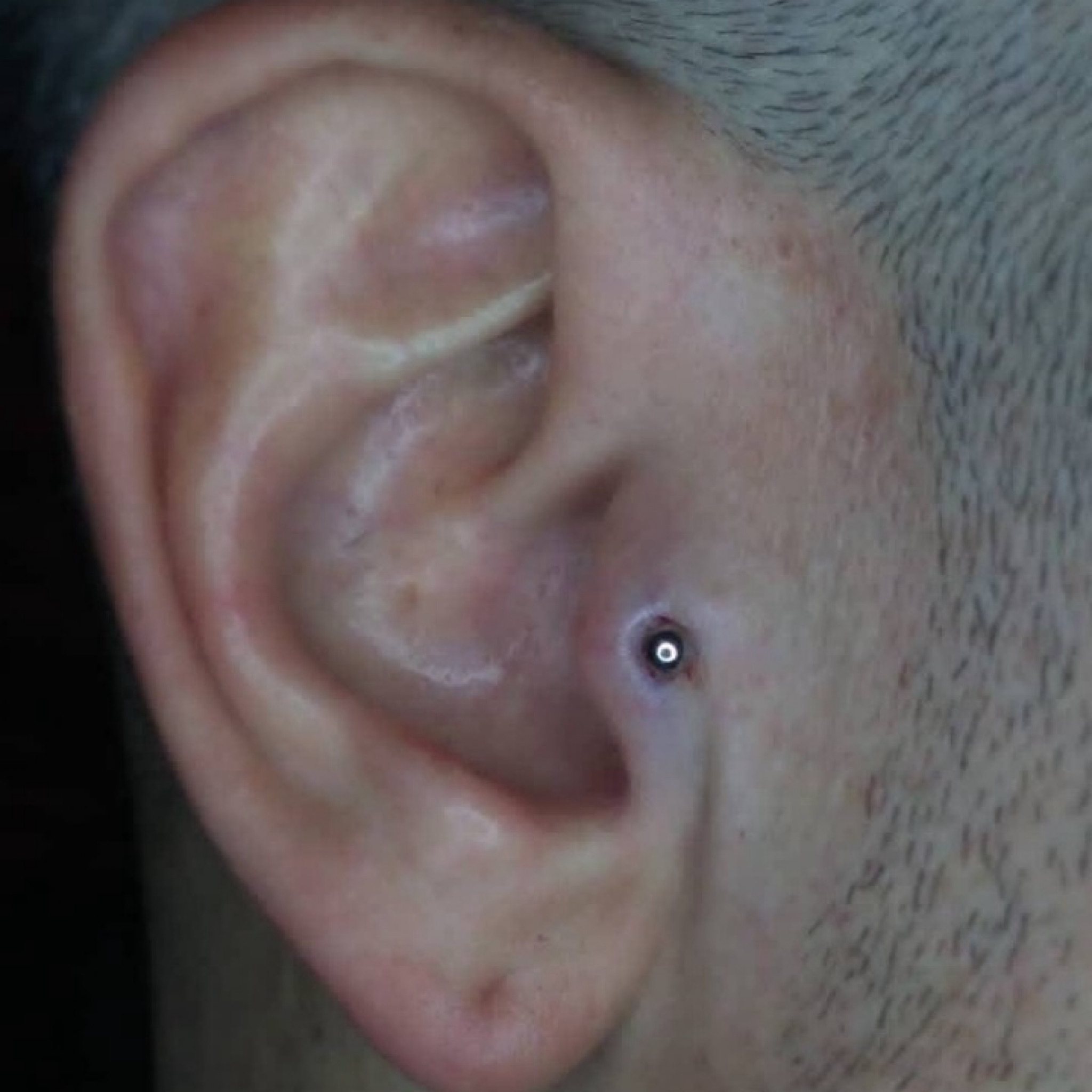 Perforación Tragus TITANIO profesional