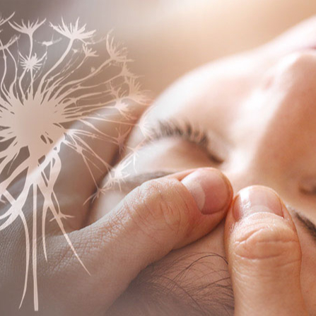 Séance Access Bars (1h00)