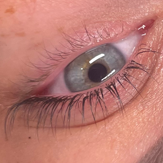 Lash Filler + Teinture