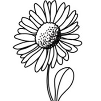 Masáž hlavy 20 minut