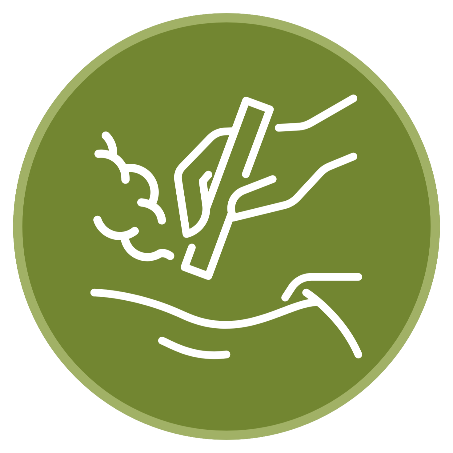 Terapia Gua Sha/Moxa/Konchowanie
