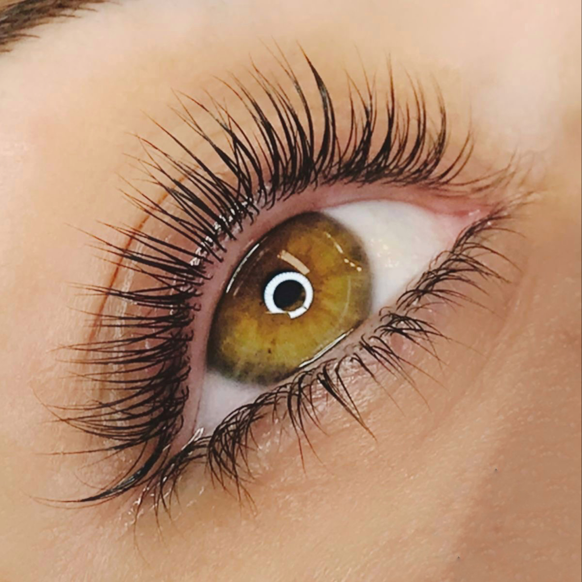 Lashlifting + barvení obočí