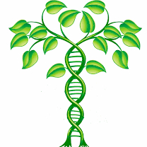 Consultation de Naturopathie