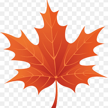 Podzimní Kouzlo Masáž (60 min)