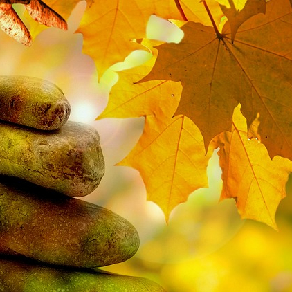 Reset linfatico autunnale - 3 x 60 minuti