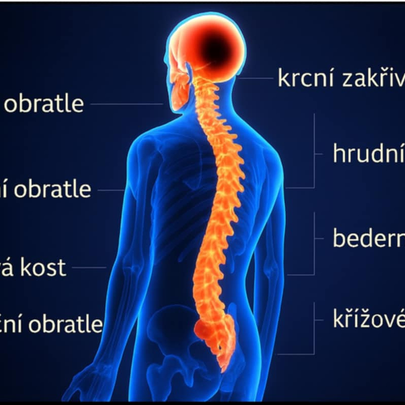 spinal synergy method 45 minut