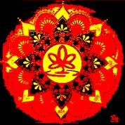 Vyzvednutí dárkové poukázky