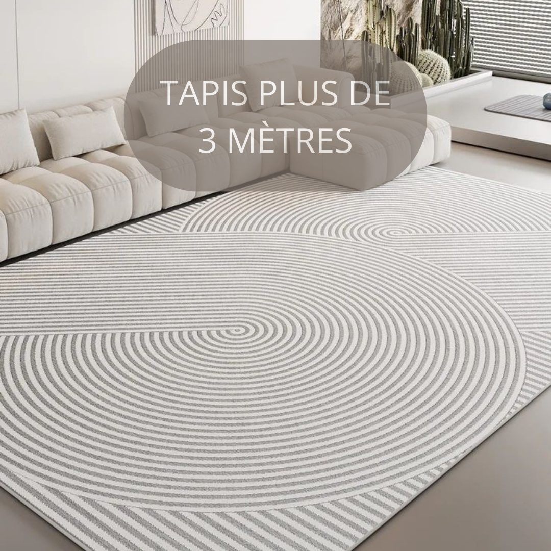 TAPIS +3MÈTRES (INJECTION/EXTRATION)
