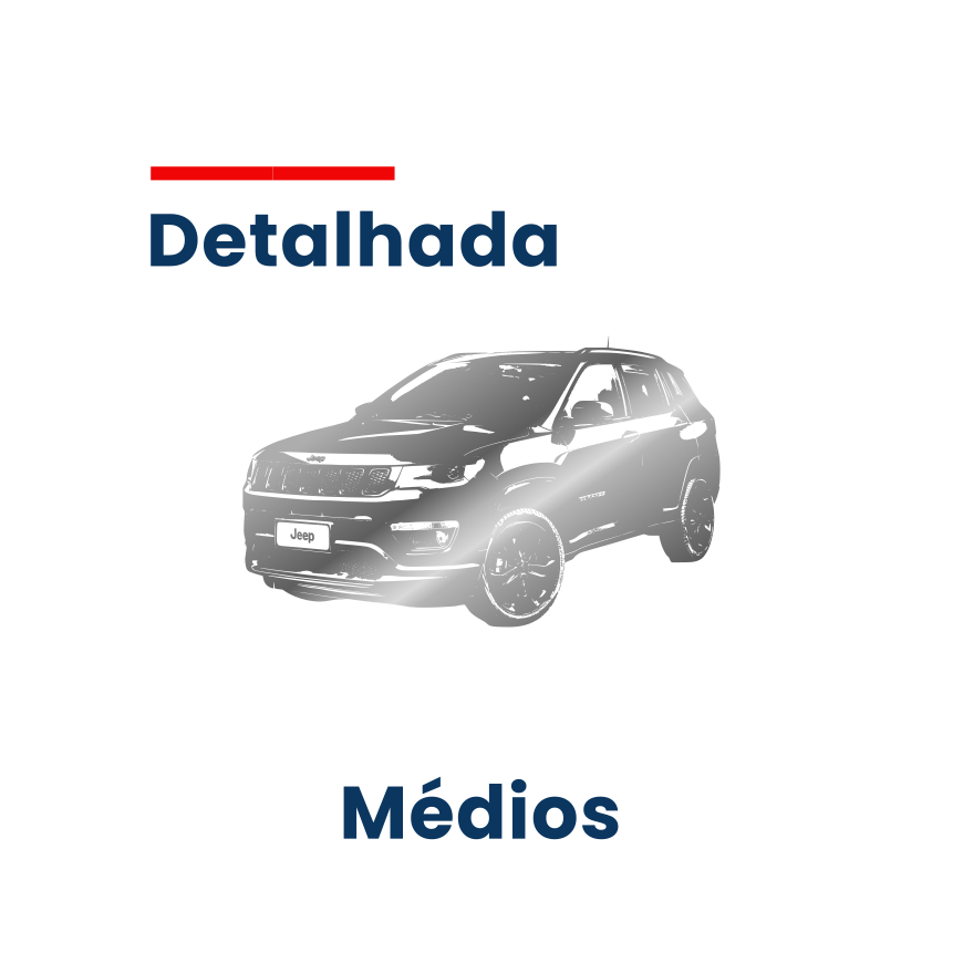 Lavagem Detalhada - Médios