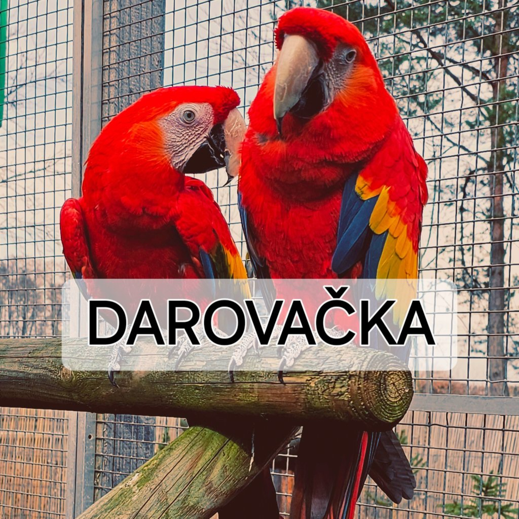 DAROVAČKA