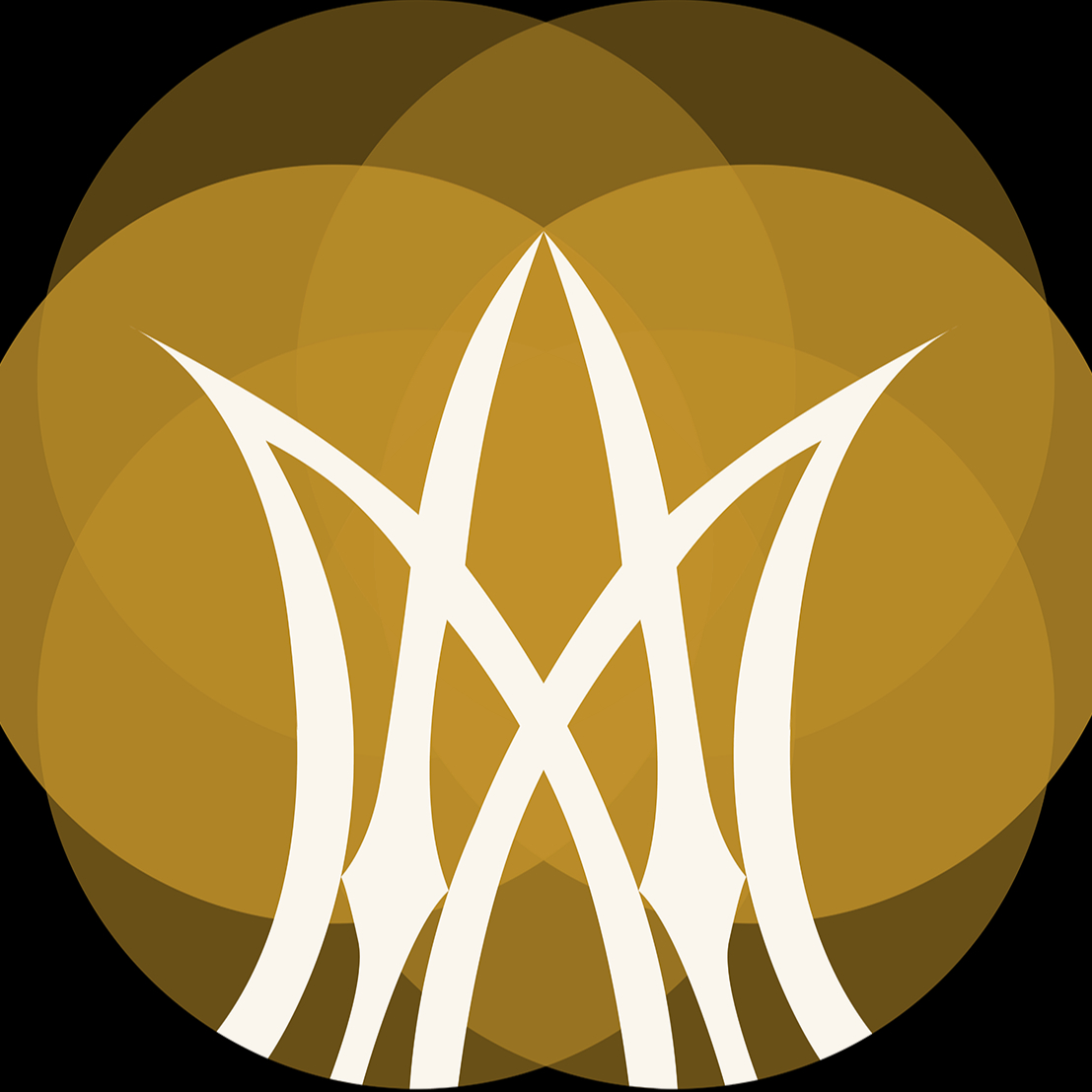 CITA PADRE MANJÓN, STAND INSTALADO EN EL COLEGIO