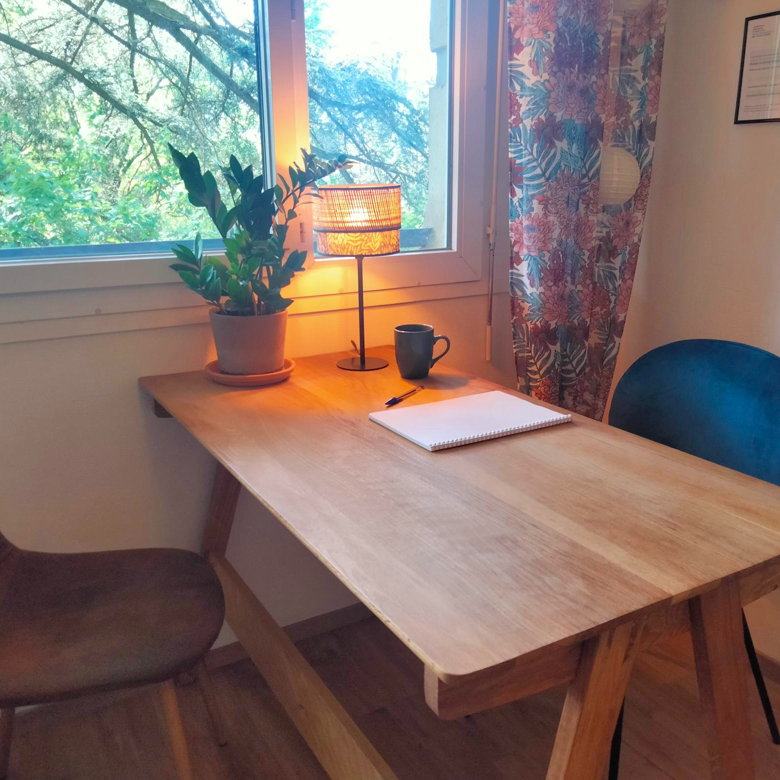 Consultation de naturopathie