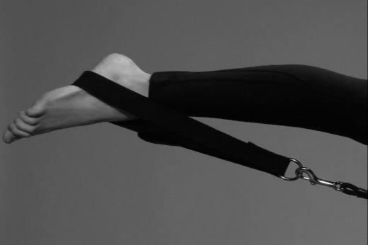 Reformer Foundation