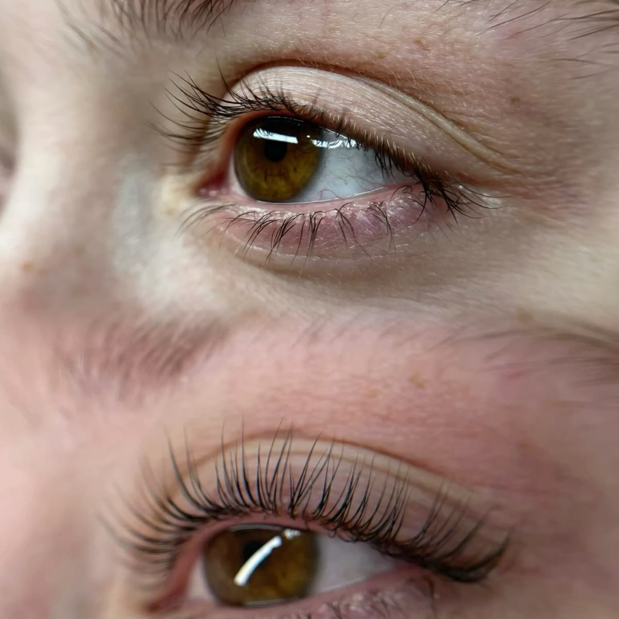 Lash lift coréen sans teinture