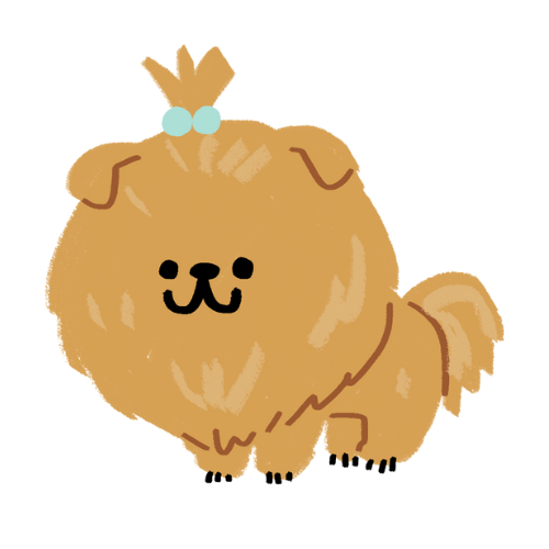 Pomerániai Törpespicc