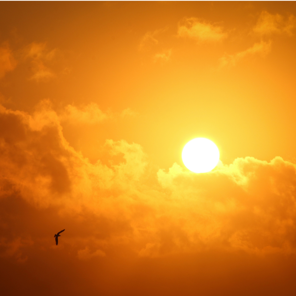 Renaissance douce - Soin du visage et réflexologie plantaire