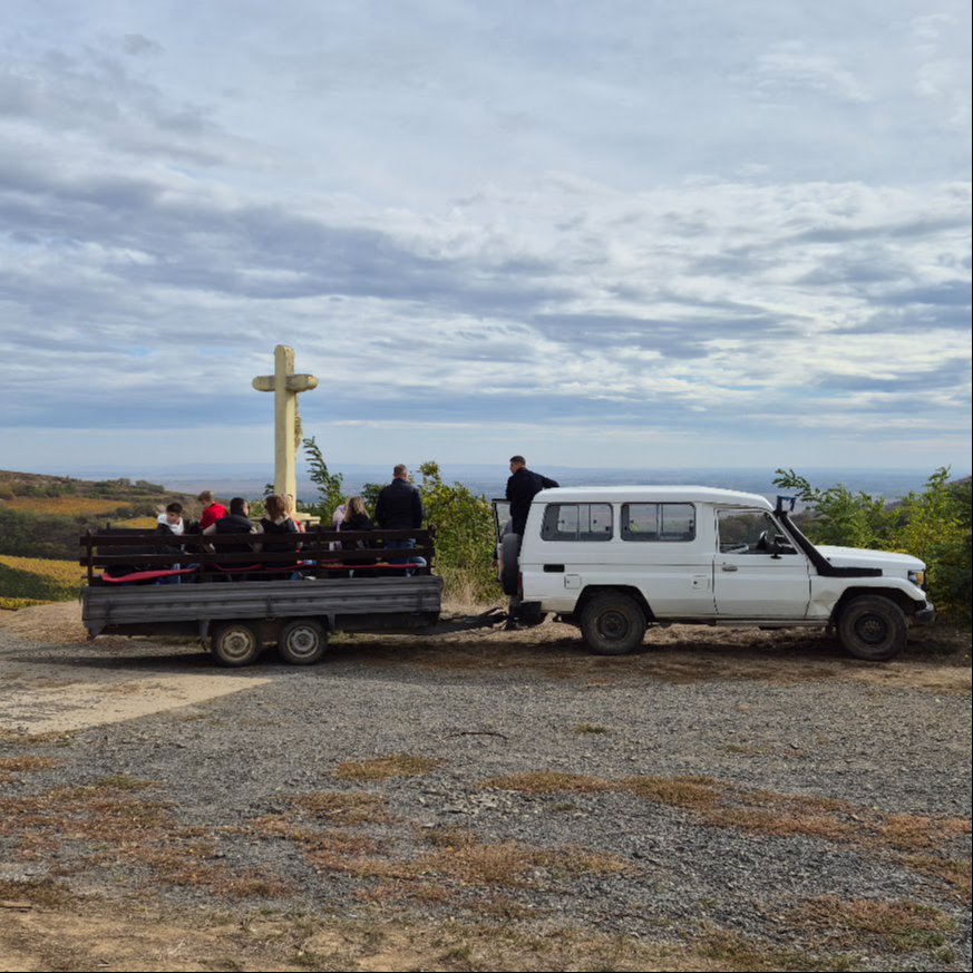 WineYard Safari / Dűlőszafari