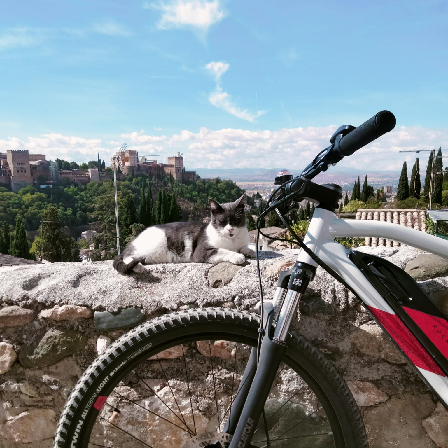 Granada Slow E-Bike Free Tour ENG