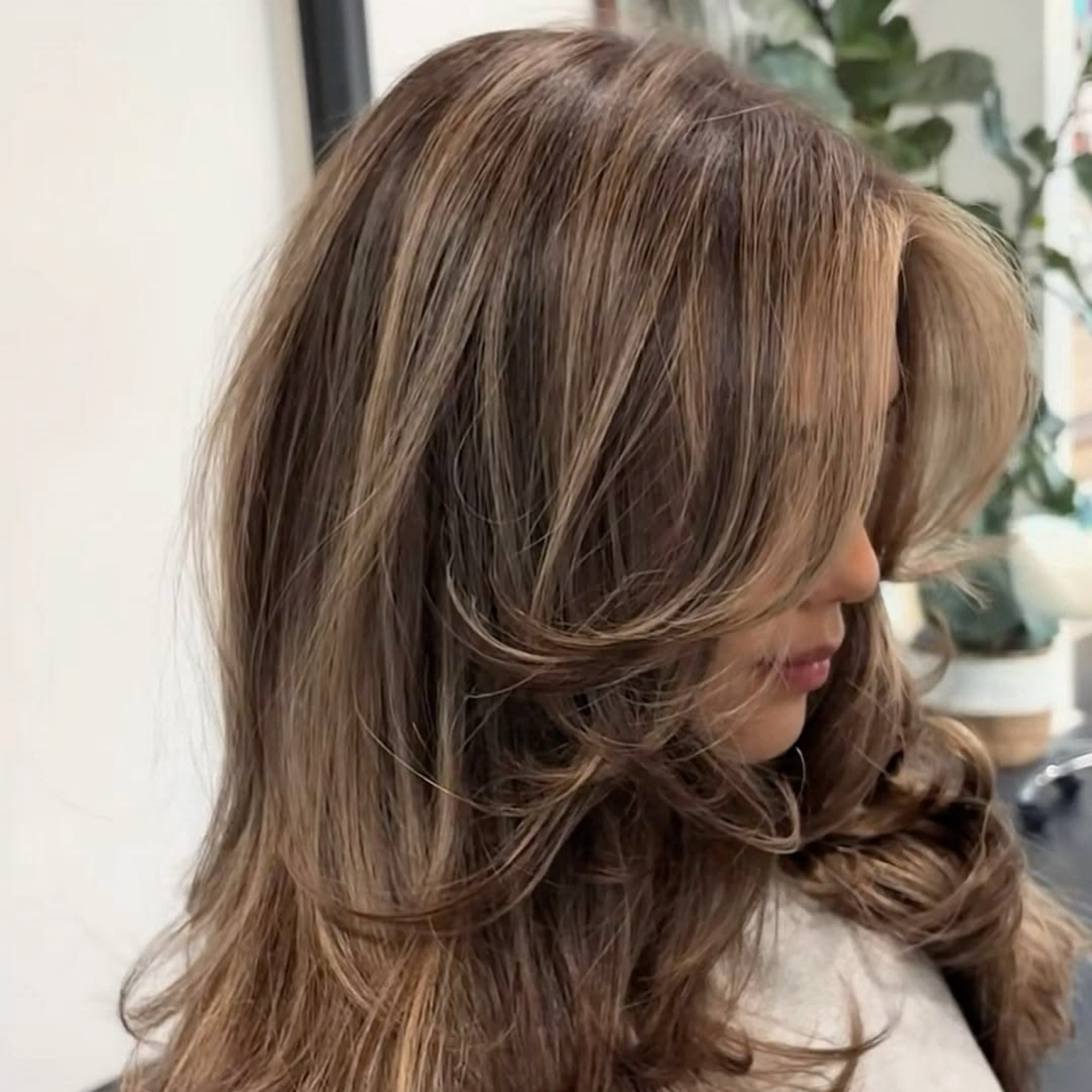 PACKAGE ROOTS COLOR + HALF HIGHLIGHT ( shampoo +blowdry)
