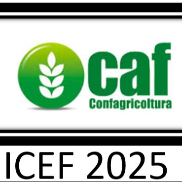 ICEF - redditi e patrimonio al 31.12.2024