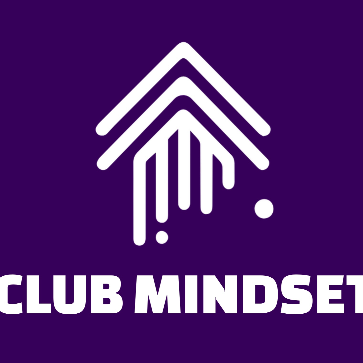 MINDSET SESSIE - 60 min