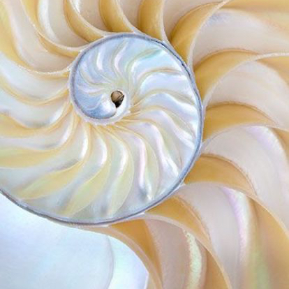 Hypnose régressive "Vies antérieures" (+entretien visio)