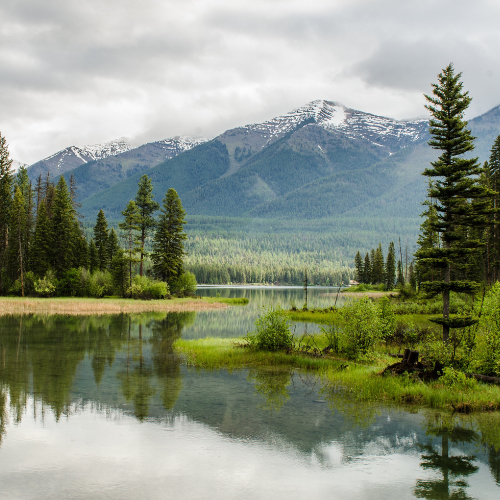 Speciálně pedagogické poradenství