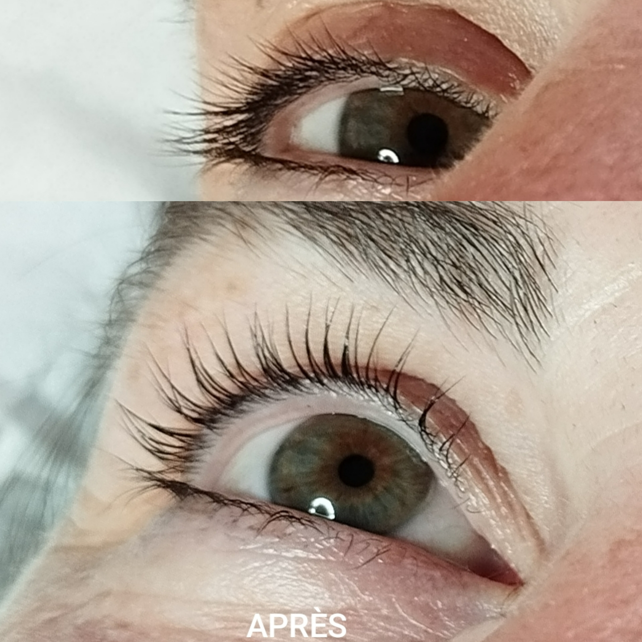 Réhaussement + teinture CILS