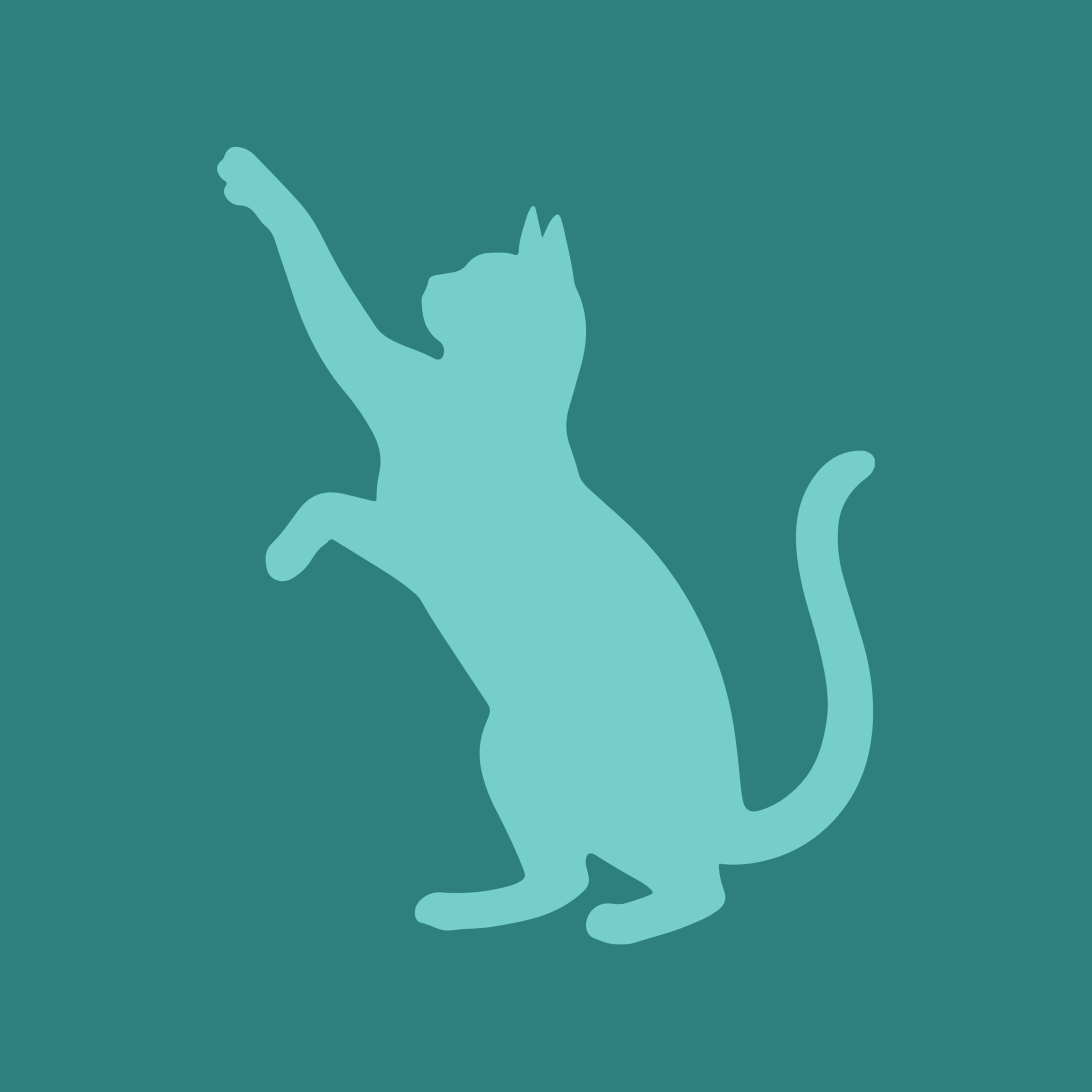 Chat - Ostéopathie à domicile
