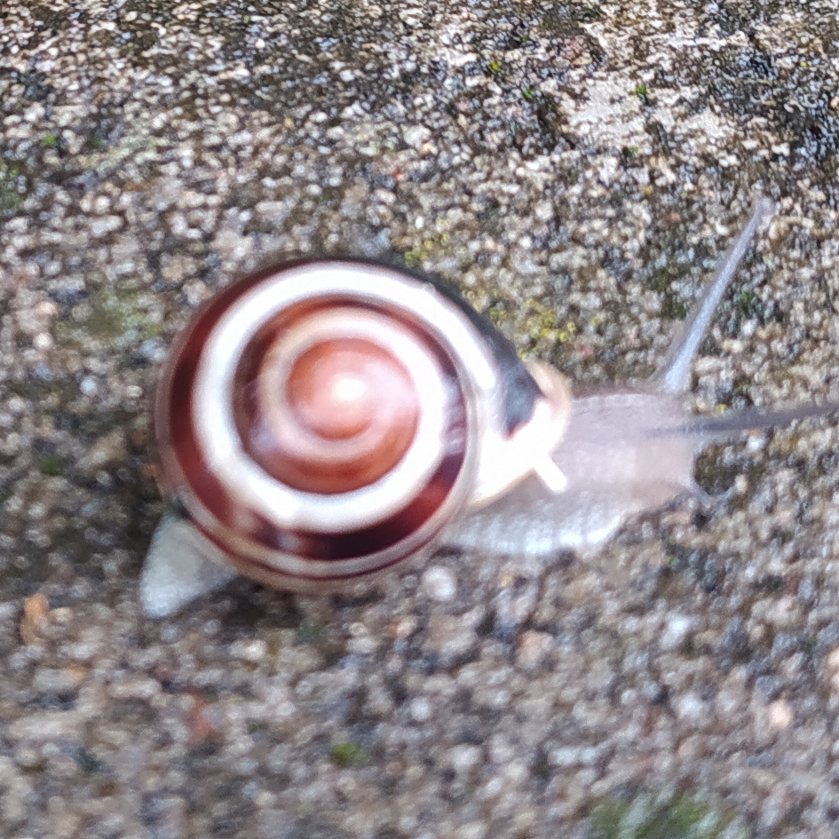 Konzultace - PSYCHOLOG, i pro dospívající