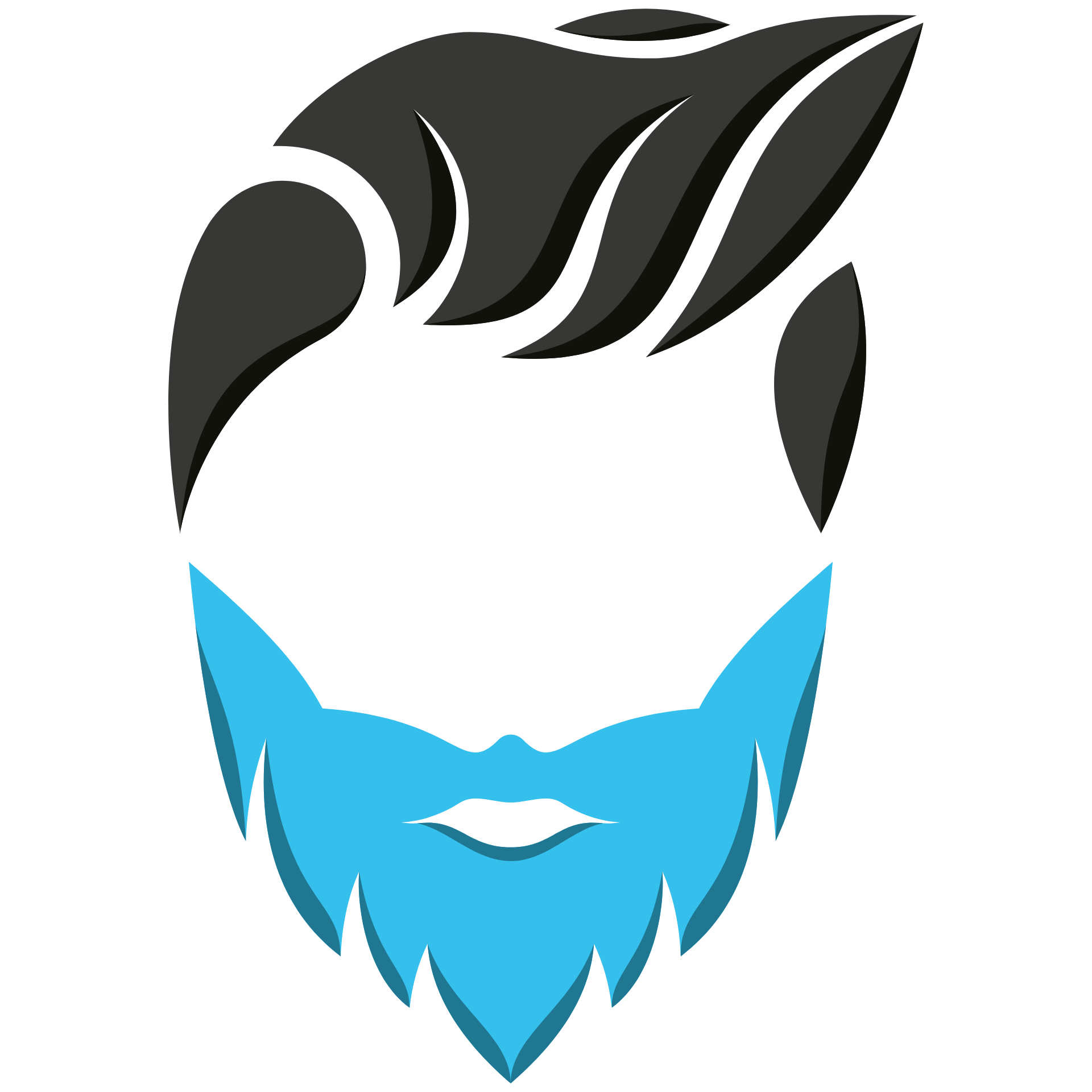 Střih vlasů + úprava vousů s barvením