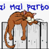 NST - ostéopathie des tissus mous 30'