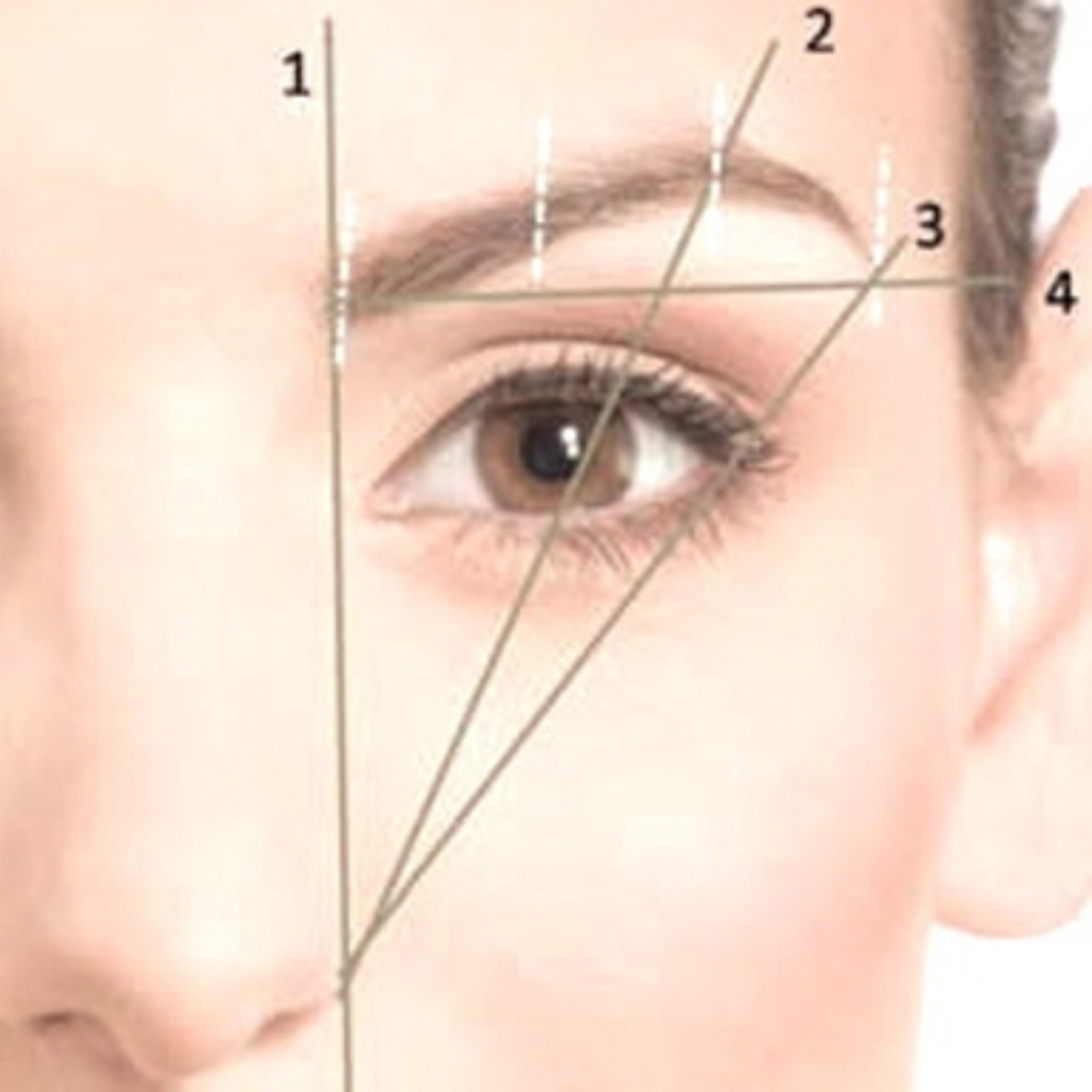 Création de sourcils