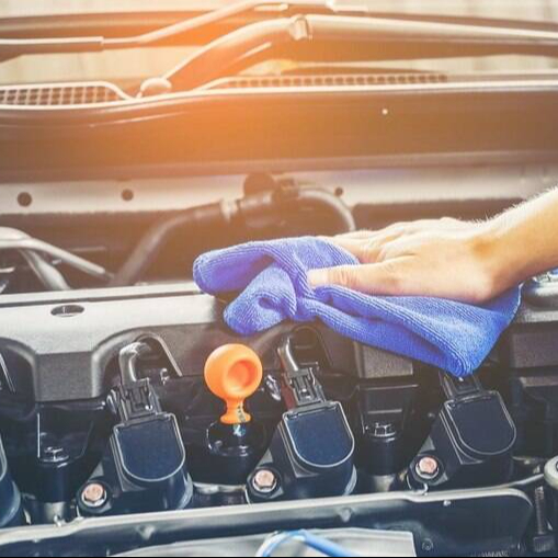 Limpeza de motor + proteção