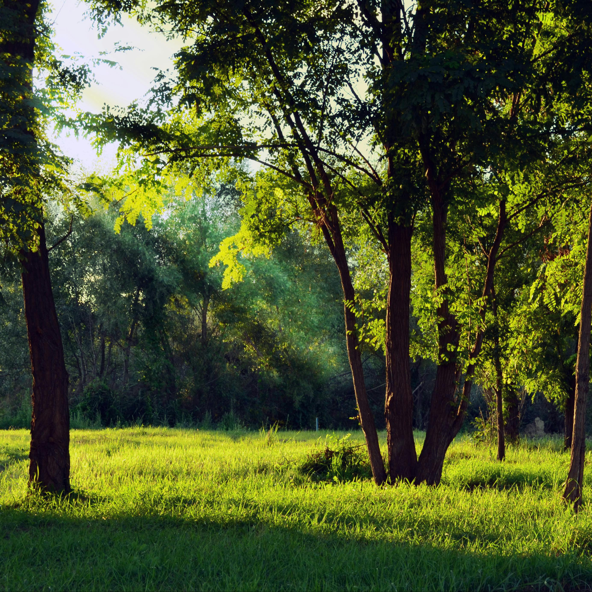 Séance Thérapie EMDR en visio