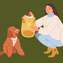 Livraison de vos achats animaliers + Keep (visite)