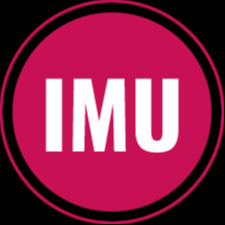 IMU
