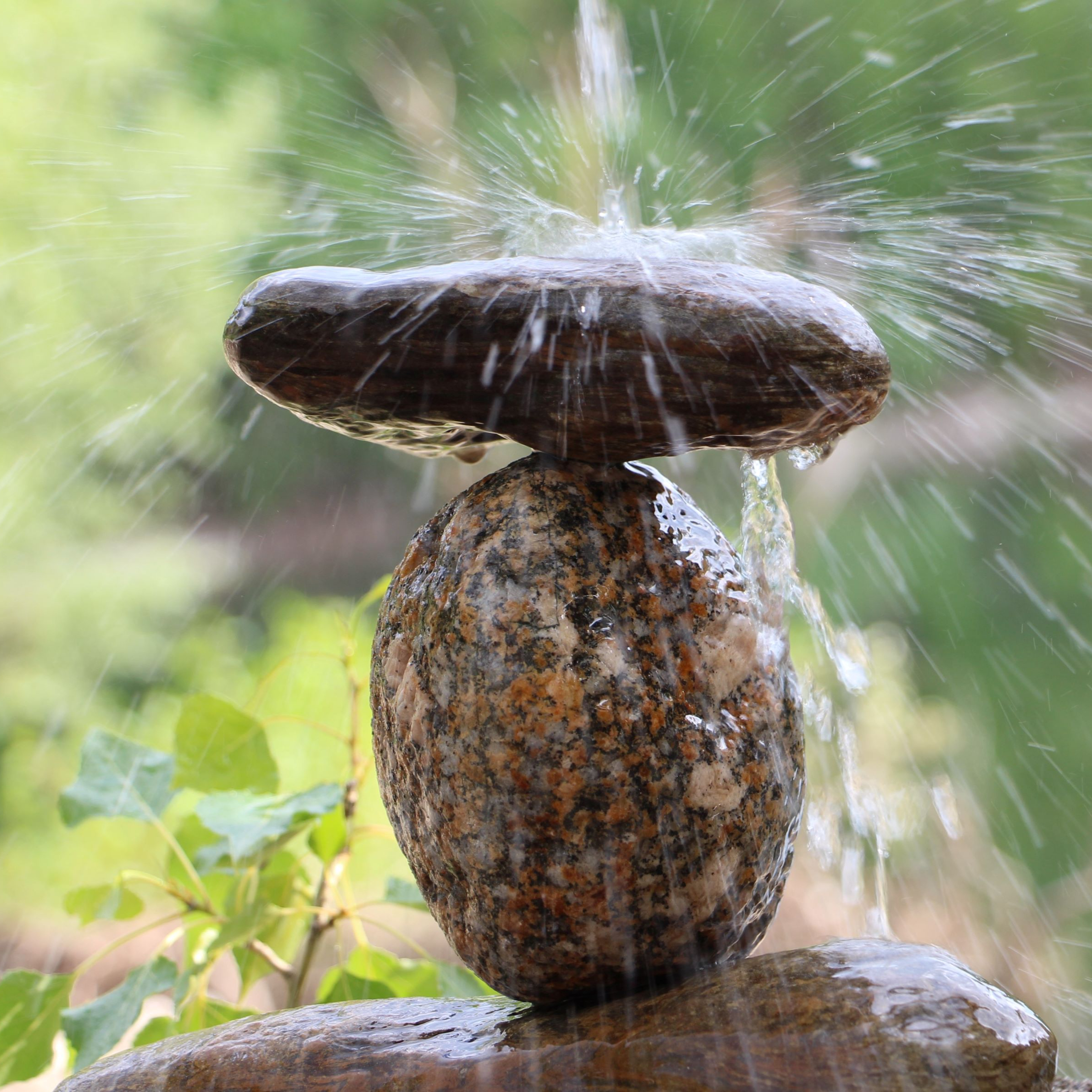 Premier entretien gratuit