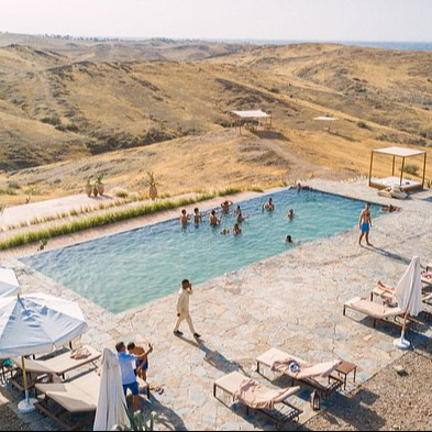 WHITE CAMEL LUNCH ACCESS