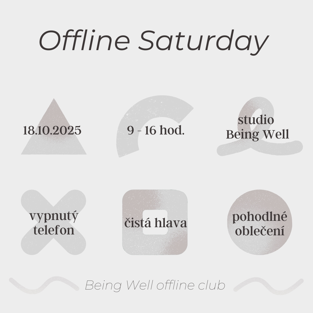 Offline Saturday