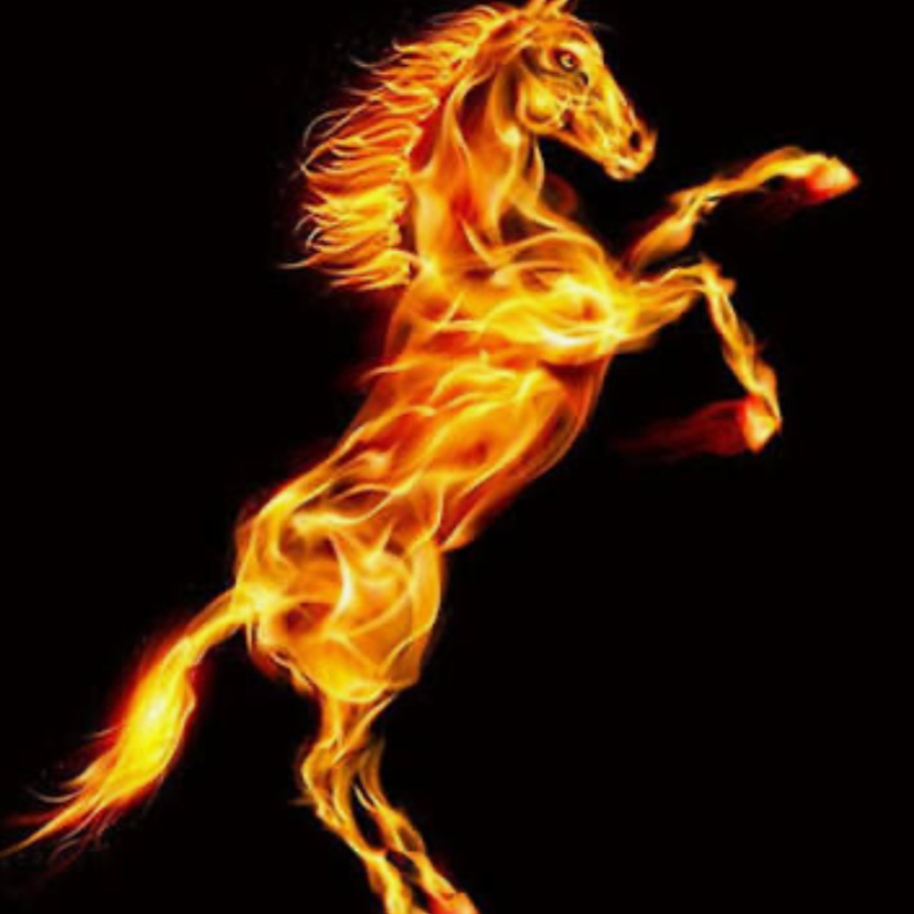 Séance " Je booste ma visibilté avec le Feng-Shui", une séance