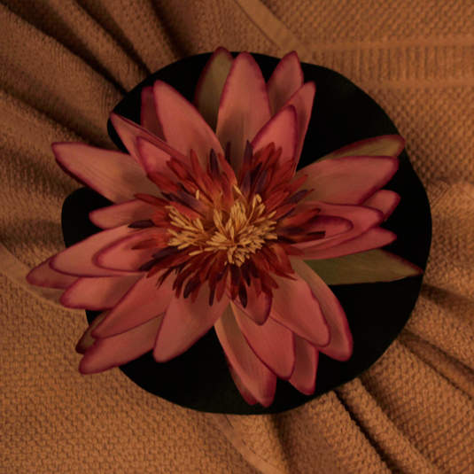 Siam Aromatic Romance (90 min)