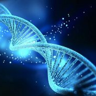 Massage mémoire cellulaire - 1h15