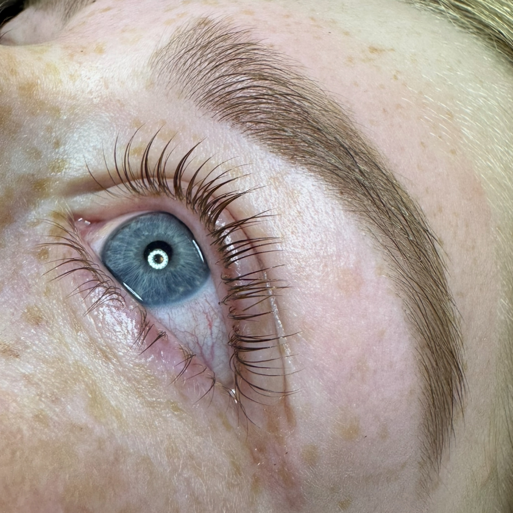 Korean Lash lifting & úprava obočí + barva