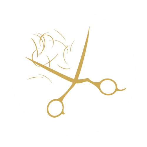 Formule Shampoing, Coupe, Soin, Coiffage (hors "boucles")