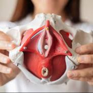 Primera visita fisioterapia suelo pélvico