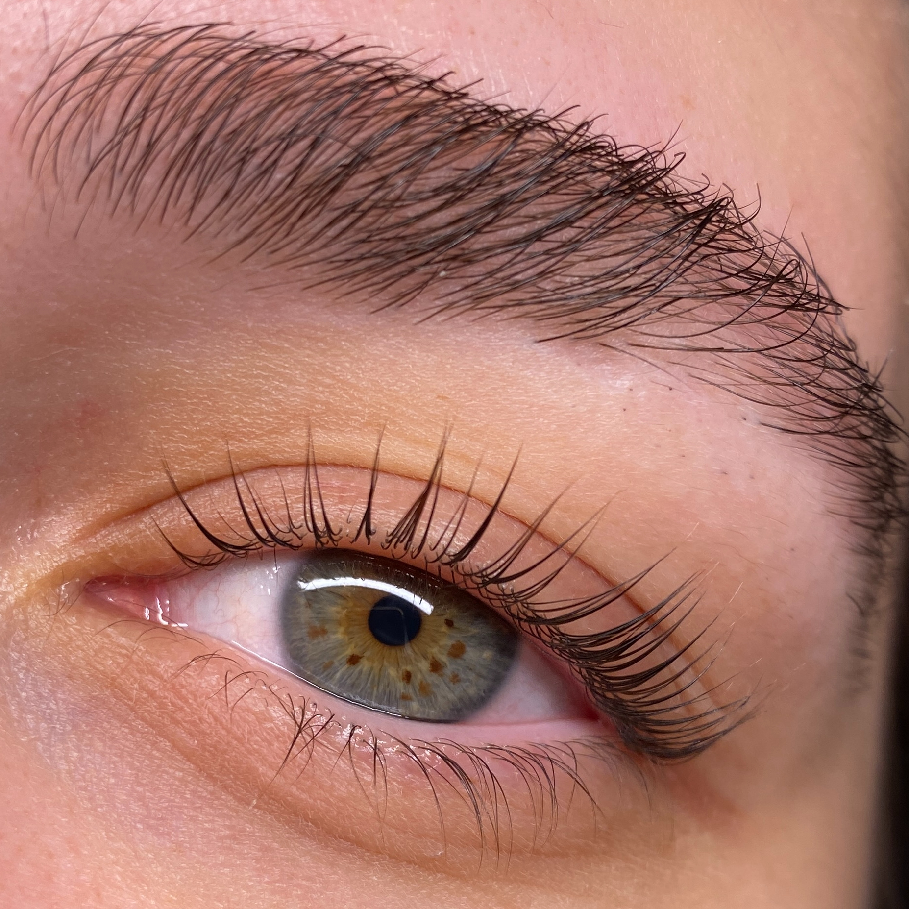 Lash Lifting + Teinture