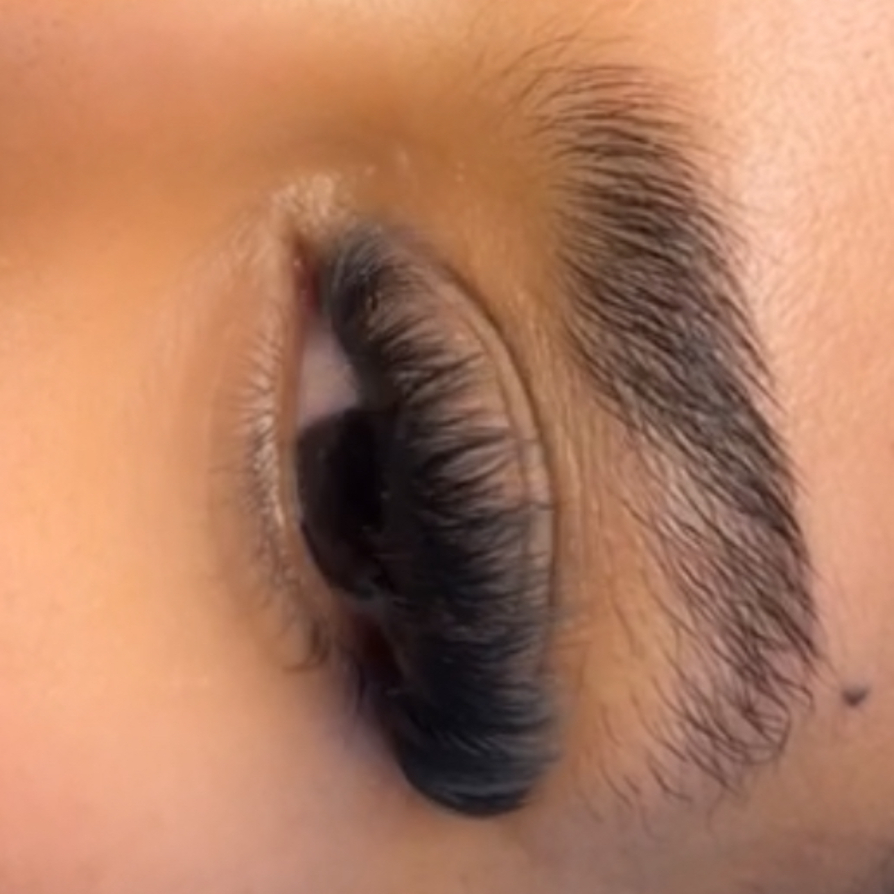 Nytt sett vippeextension (Mega volum)