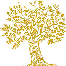 Constellations familiales (séance individuelle)
